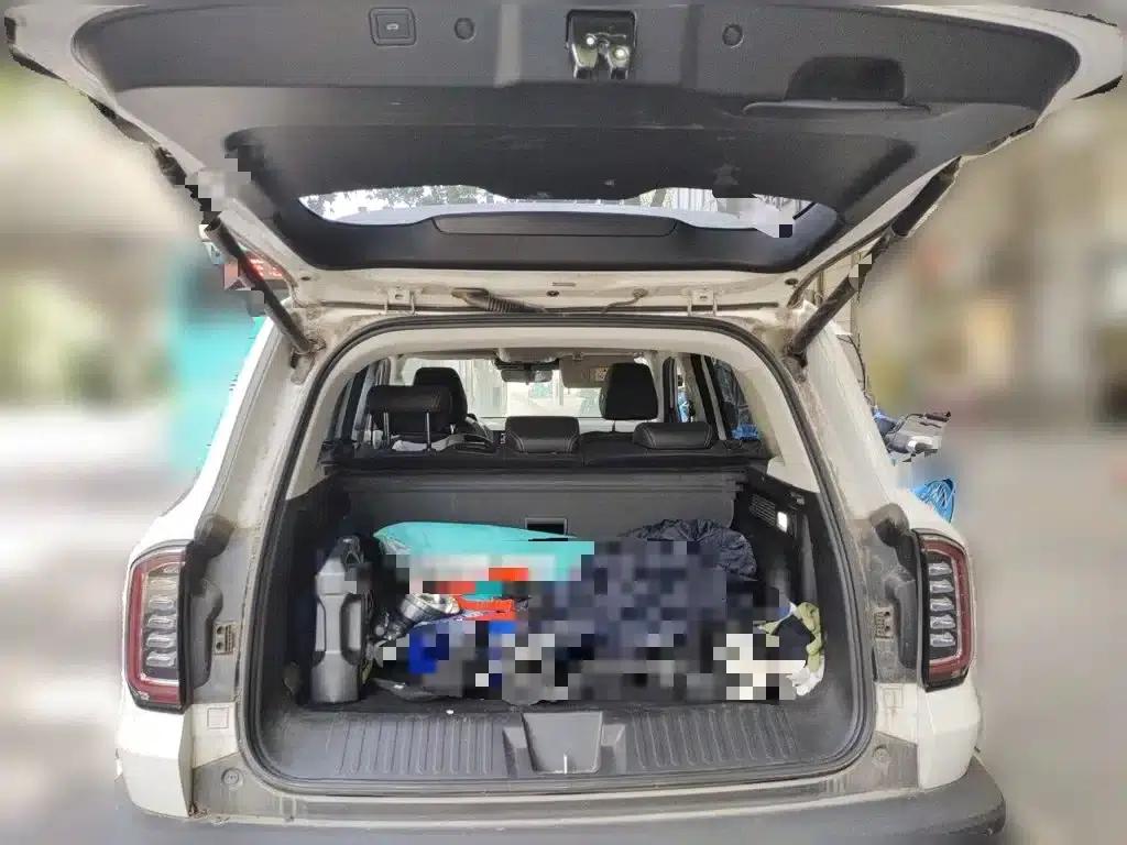 Haval Big Dog 2021 1.5T DCT 2WD Border Collie Edition — миниатюра 10