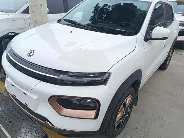 Dongfeng NAMMI BOX 2022 Revised Light Wind Edition 201 km Standard Version