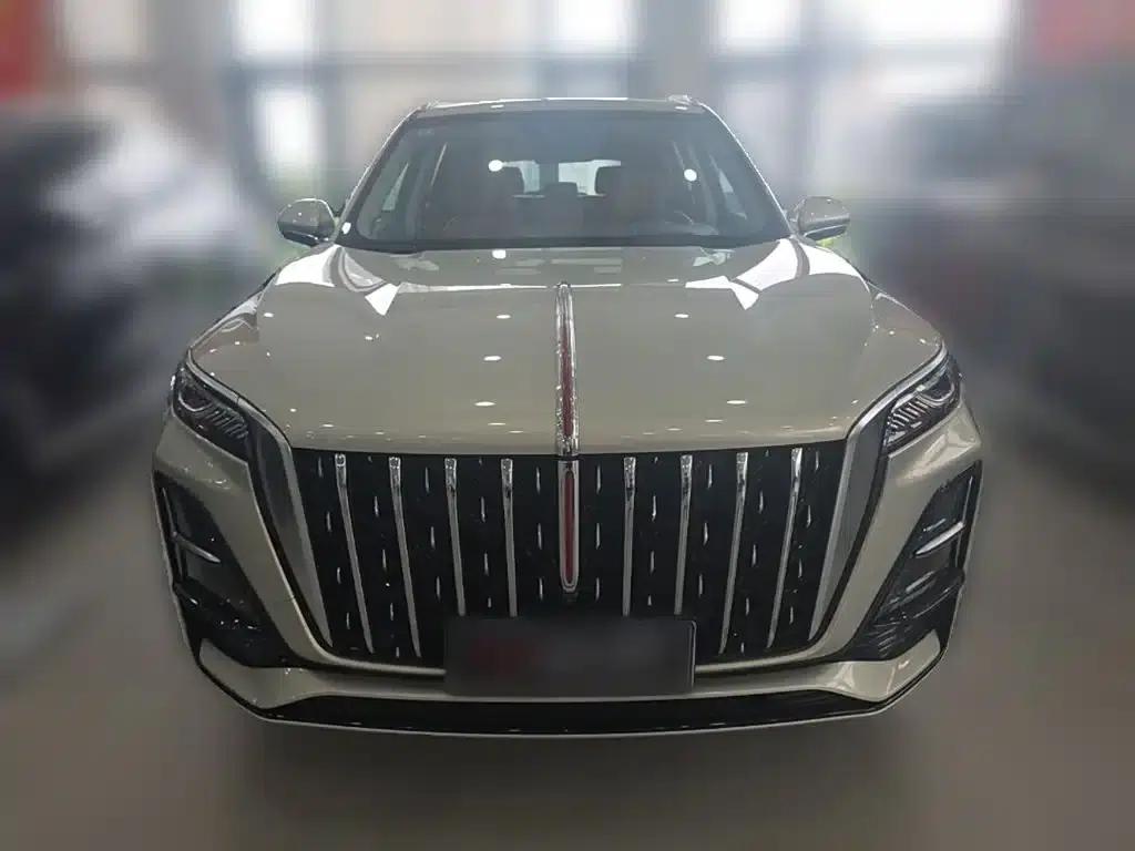 Hongqi HS5 2023 2.0T AWD Flagship Pro Edition — миниатюра 5