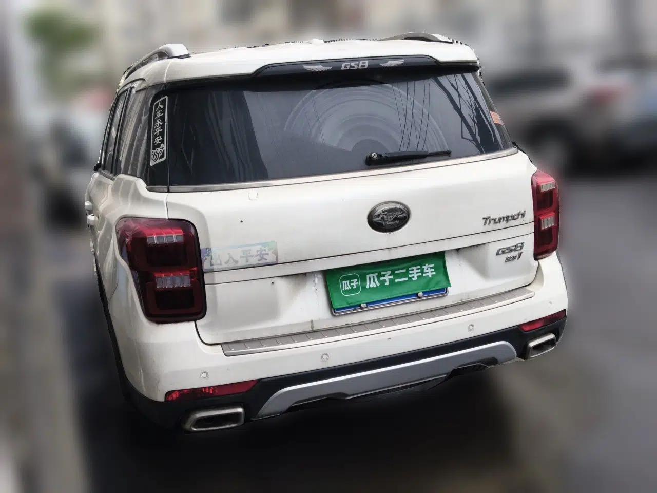 GAC Trumpchi GS8 2017 320T Two-Wheel Drive Luxury Smart Connectivity Version (7 Seats) — миниатюра 4