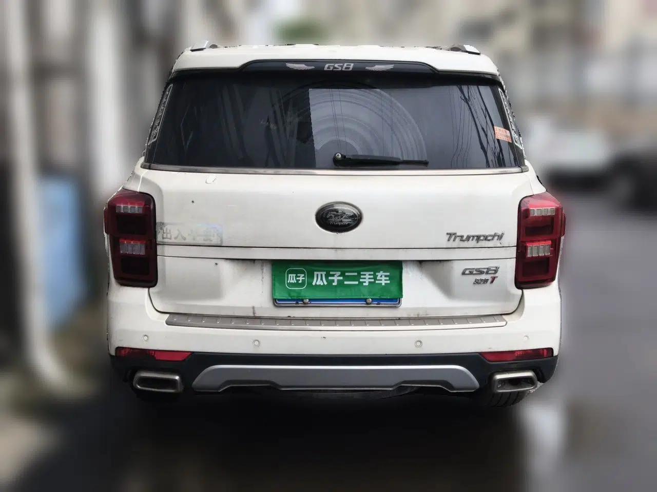 GAC Trumpchi GS8 2017 320T Two-Wheel Drive Luxury Smart Connectivity Version (7 Seats) — миниатюра 5