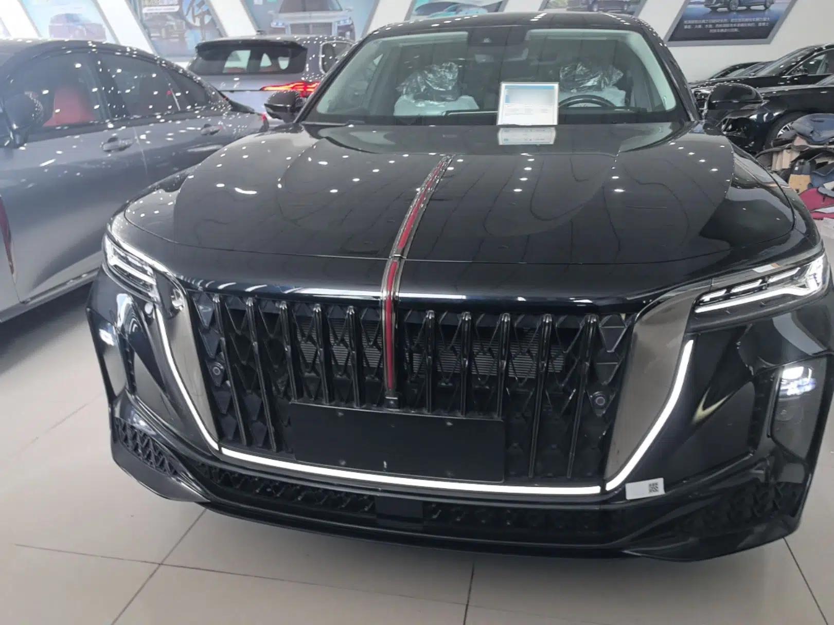 Hongqi H9 2024 2.0T Qichang Private Enjoyment Luxury Edition — миниатюра 2