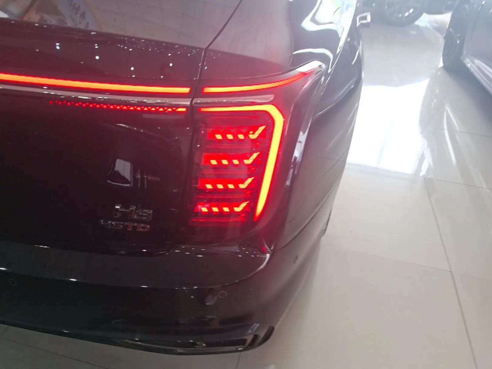 Hongqi H9 2024 2.0T Qichang Private Enjoyment Luxury Edition — миниатюра 9