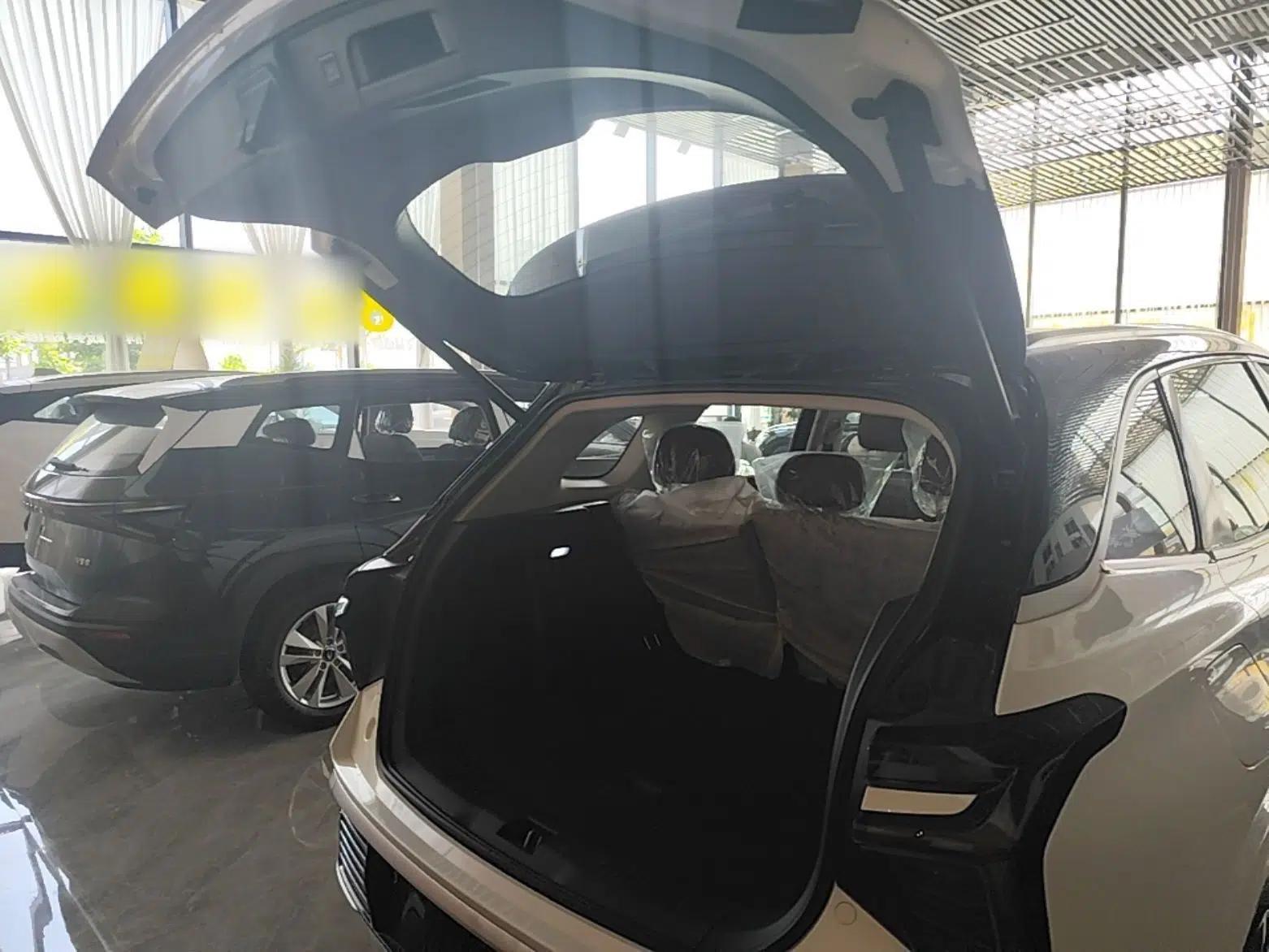 Hongqi HS3 PHEV 2025 Model 125km Jingwei 2 Millionth Anniversary Edition — миниатюра 22