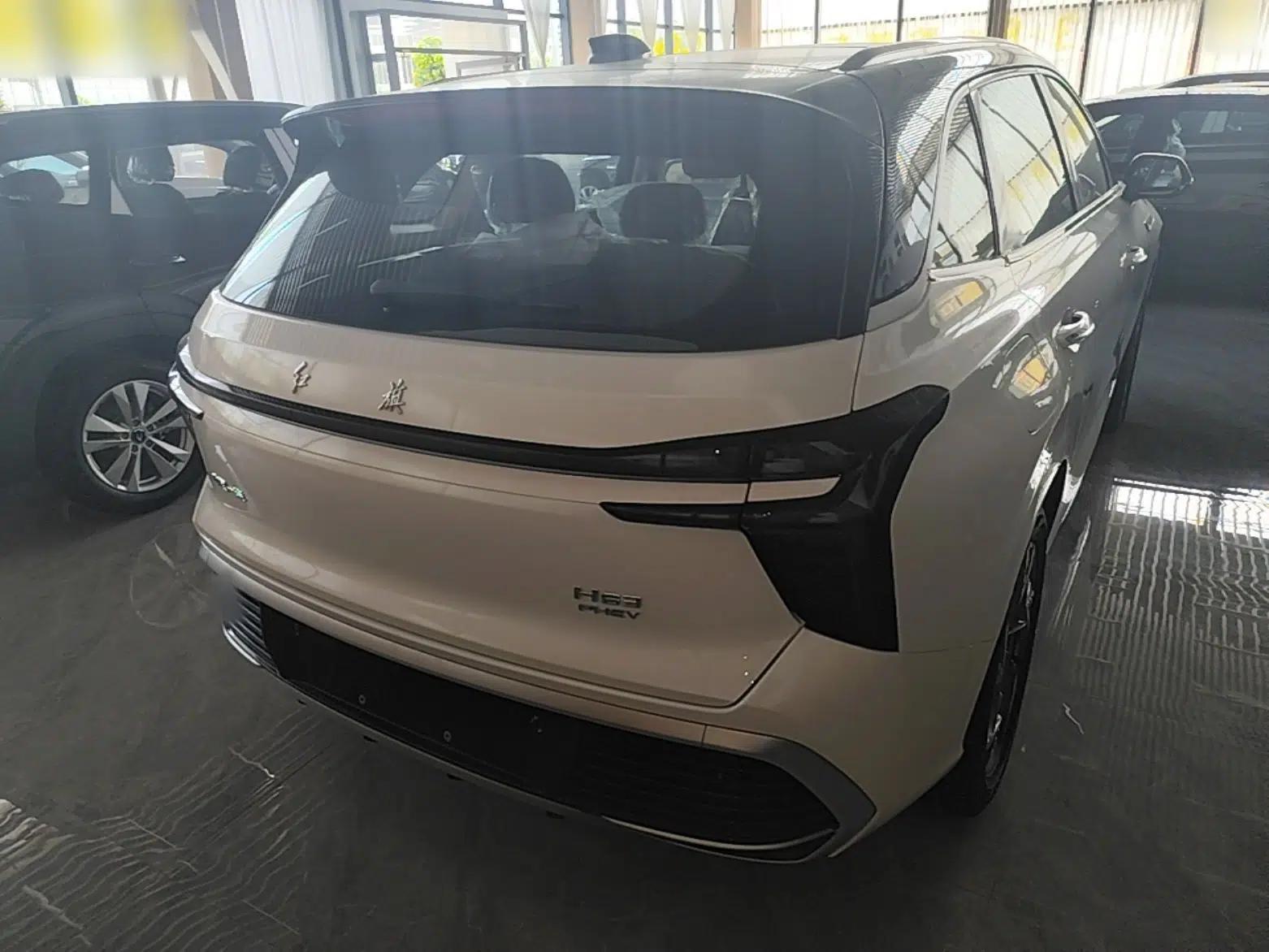 Hongqi HS3 PHEV 2025 Model 125km Jingwei 2 Millionth Anniversary Edition — миниатюра 5