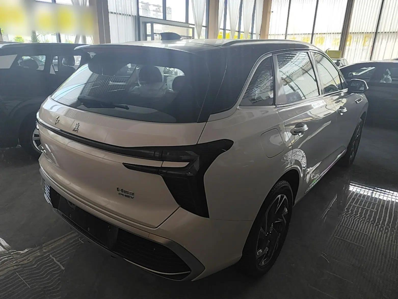 Hongqi HS3 PHEV 2025 Model 125km Jingwei 2 Millionth Anniversary Edition — миниатюра 6