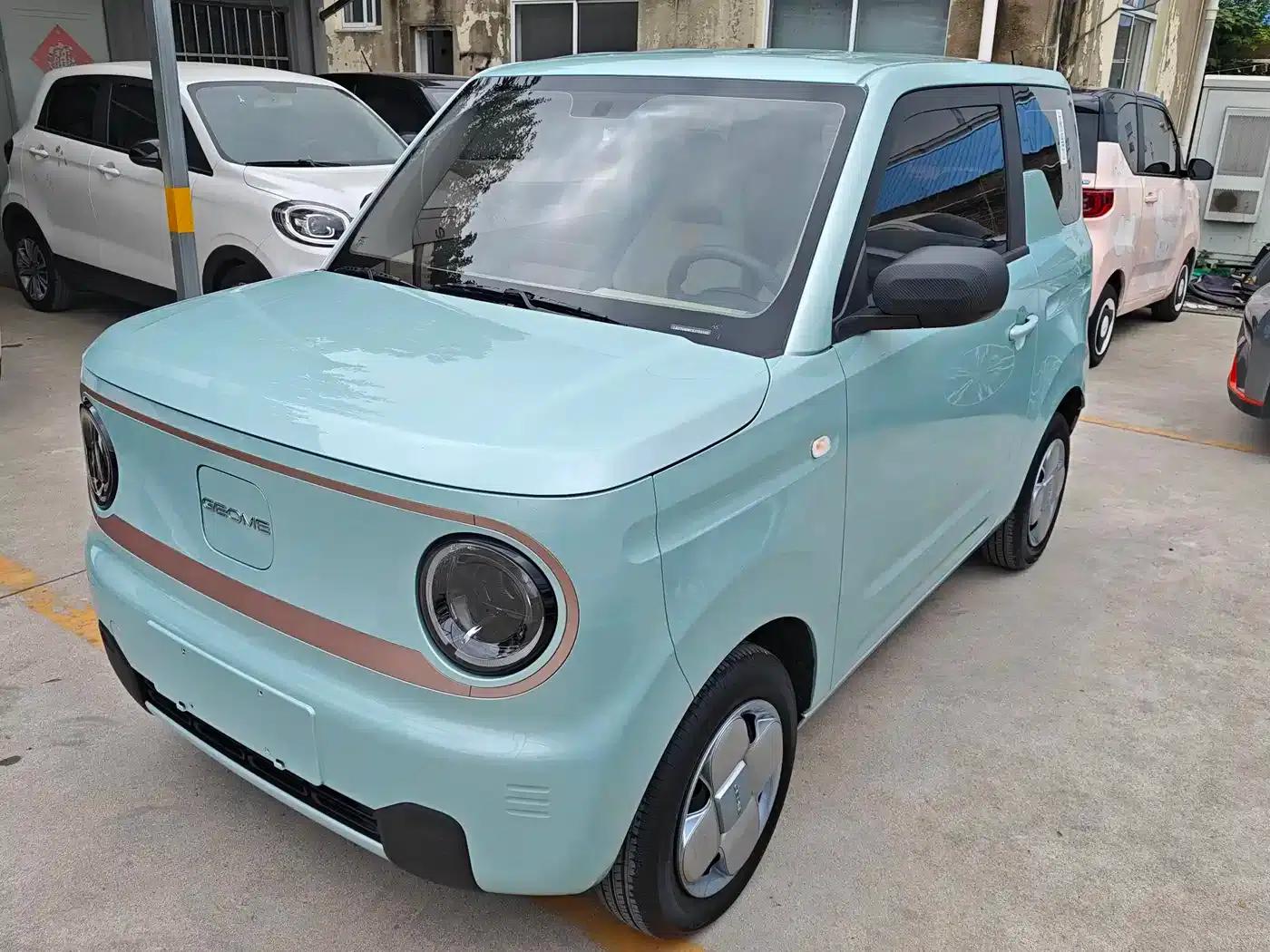 Panda 2024 Panda Mini 200km Endurance Bear — миниатюра 1