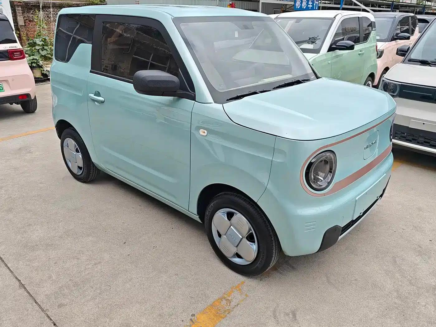 Panda 2024 Panda Mini 200km Endurance Bear — миниатюра 3