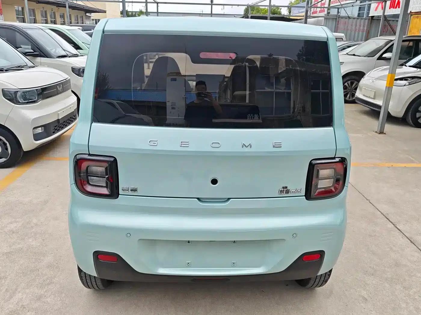 Panda 2024 Panda Mini 200km Endurance Bear — миниатюра 6