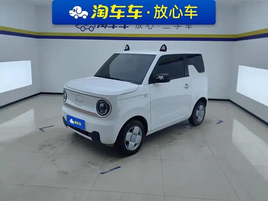 Panda 2024 Panda Mini 200km Endurance Bear — миниатюра 1