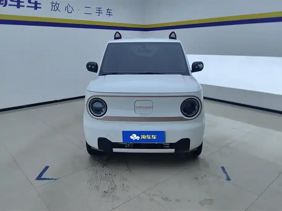 Panda 2024 Panda Mini 200km Endurance Bear — миниатюра 2