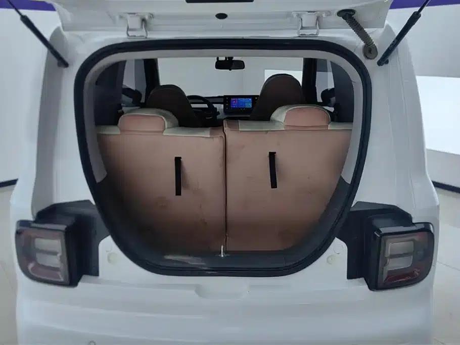 Panda 2024 Panda Mini 200km Endurance Bear — миниатюра 4