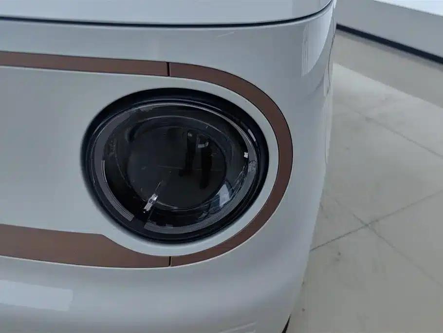 Panda 2024 Panda Mini 200km Endurance Bear — миниатюра 5