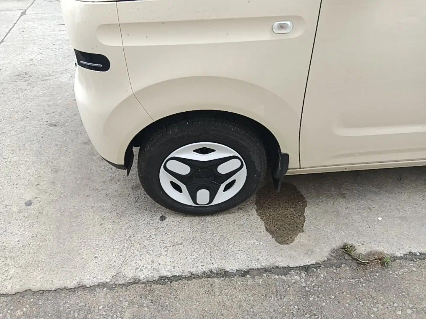Geely Galaxy Panda 2025 210 km – Yuanqi Bear — миниатюра 10