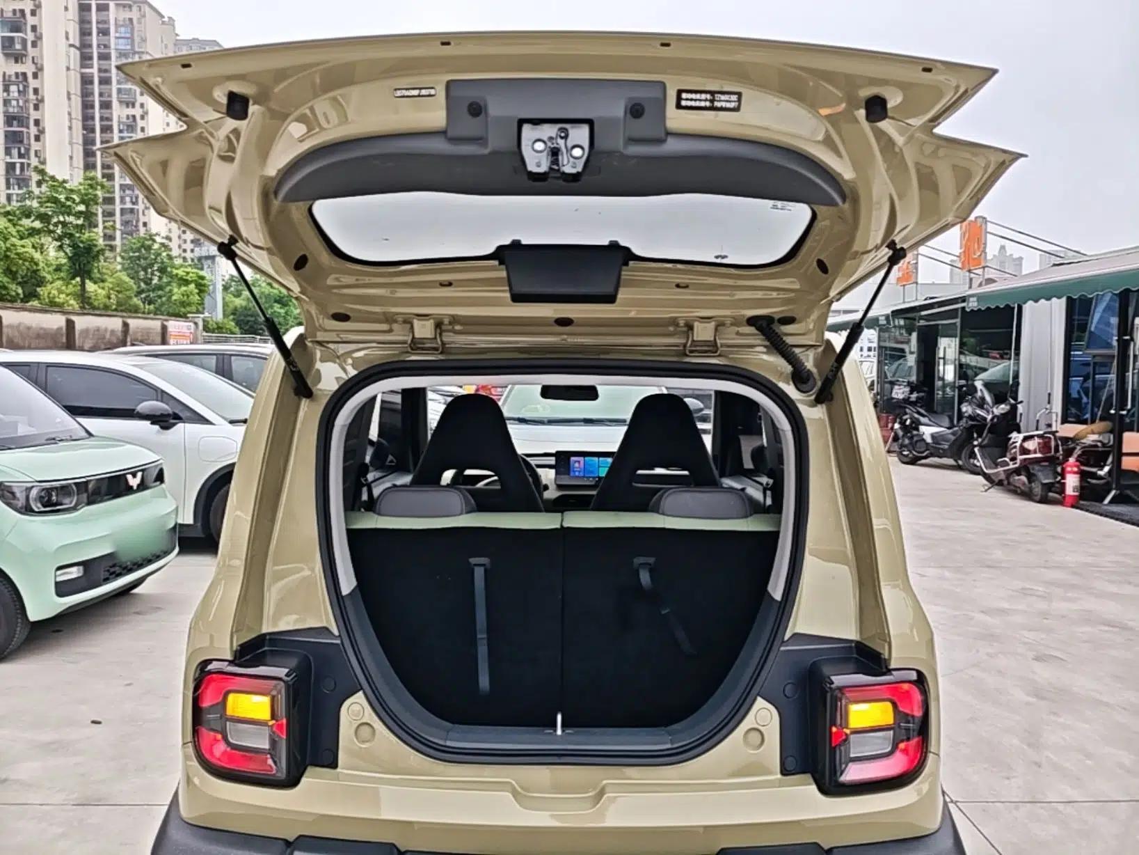 Geely Galaxy Panda 2024 200km Panda Rider — миниатюра 22