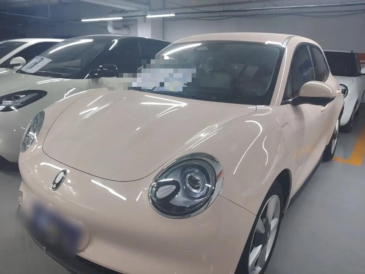 ORA Good Cat 2022 Morandi Edition 400km Standard Range Luxury Version Lithium-Ion Battery — миниатюра 1