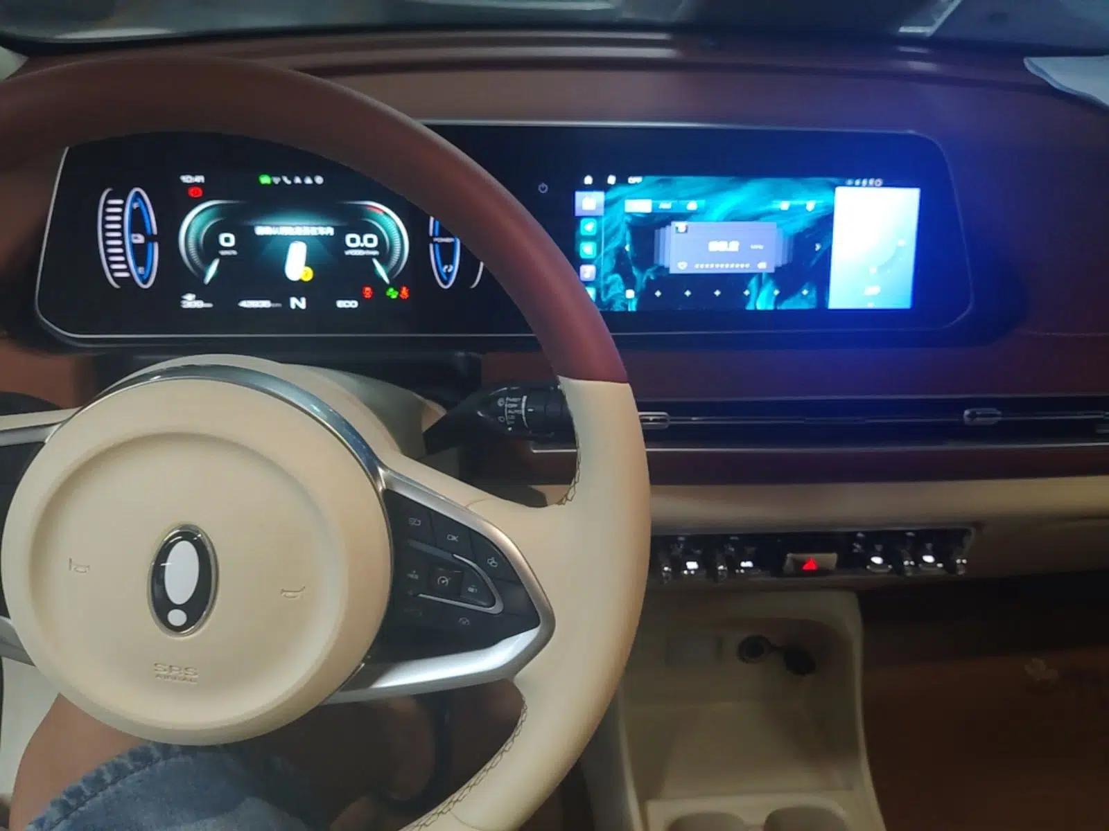 ORA Good Cat 2022 Morandi Edition 400km Standard Range Luxury Version Lithium-Ion Battery — миниатюра 12