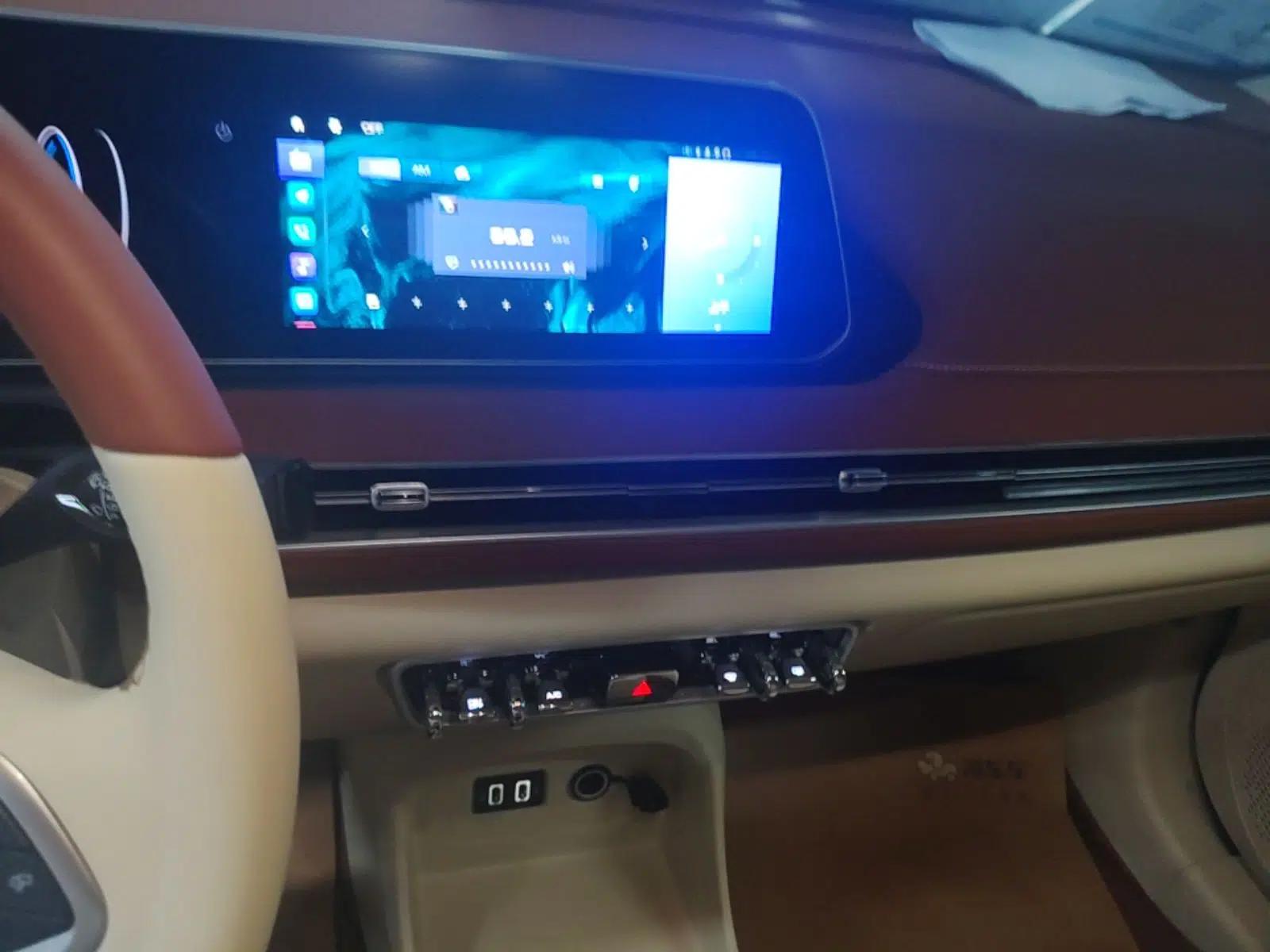 ORA Good Cat 2022 Morandi Edition 400km Standard Range Luxury Version Lithium-Ion Battery — миниатюра 15