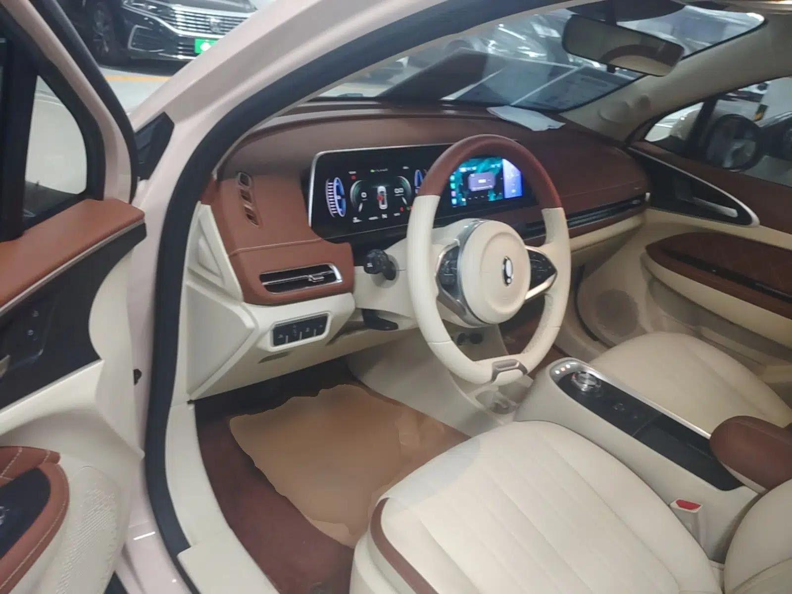 ORA Good Cat 2022 Morandi Edition 400km Standard Range Luxury Version Lithium-Ion Battery — миниатюра 18