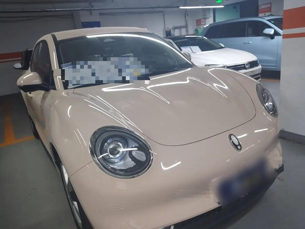 ORA Good Cat 2022 Morandi Edition 400km Standard Range Luxury Version Lithium-Ion Battery — миниатюра 3