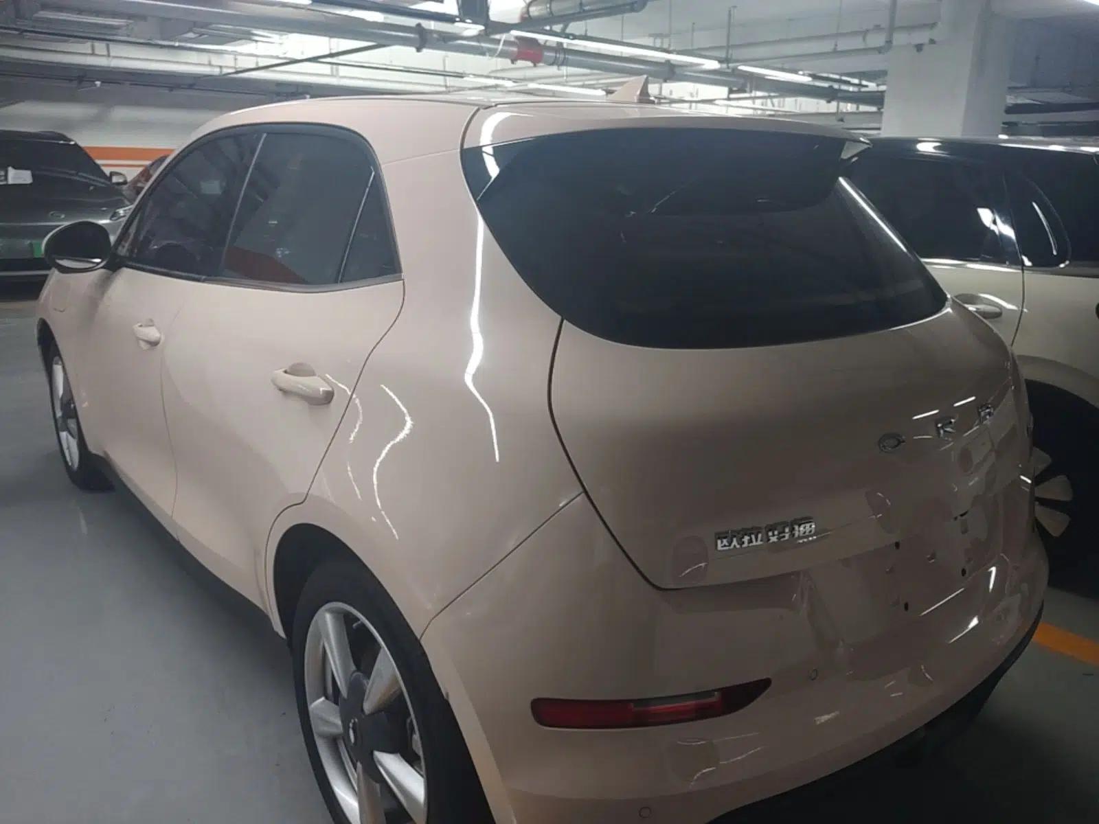 ORA Good Cat 2022 Morandi Edition 400km Standard Range Luxury Version Lithium-Ion Battery — миниатюра 4