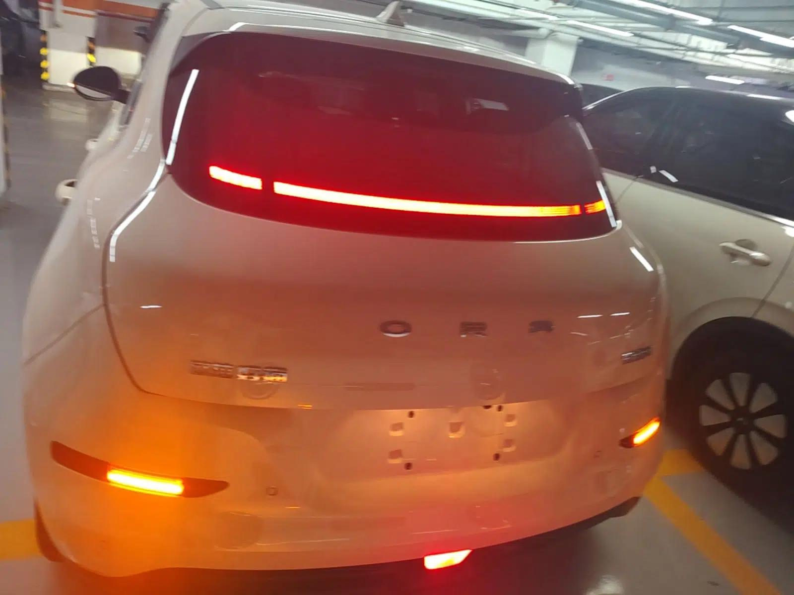 ORA Good Cat 2022 Morandi Edition 400km Standard Range Luxury Version Lithium-Ion Battery — миниатюра 5