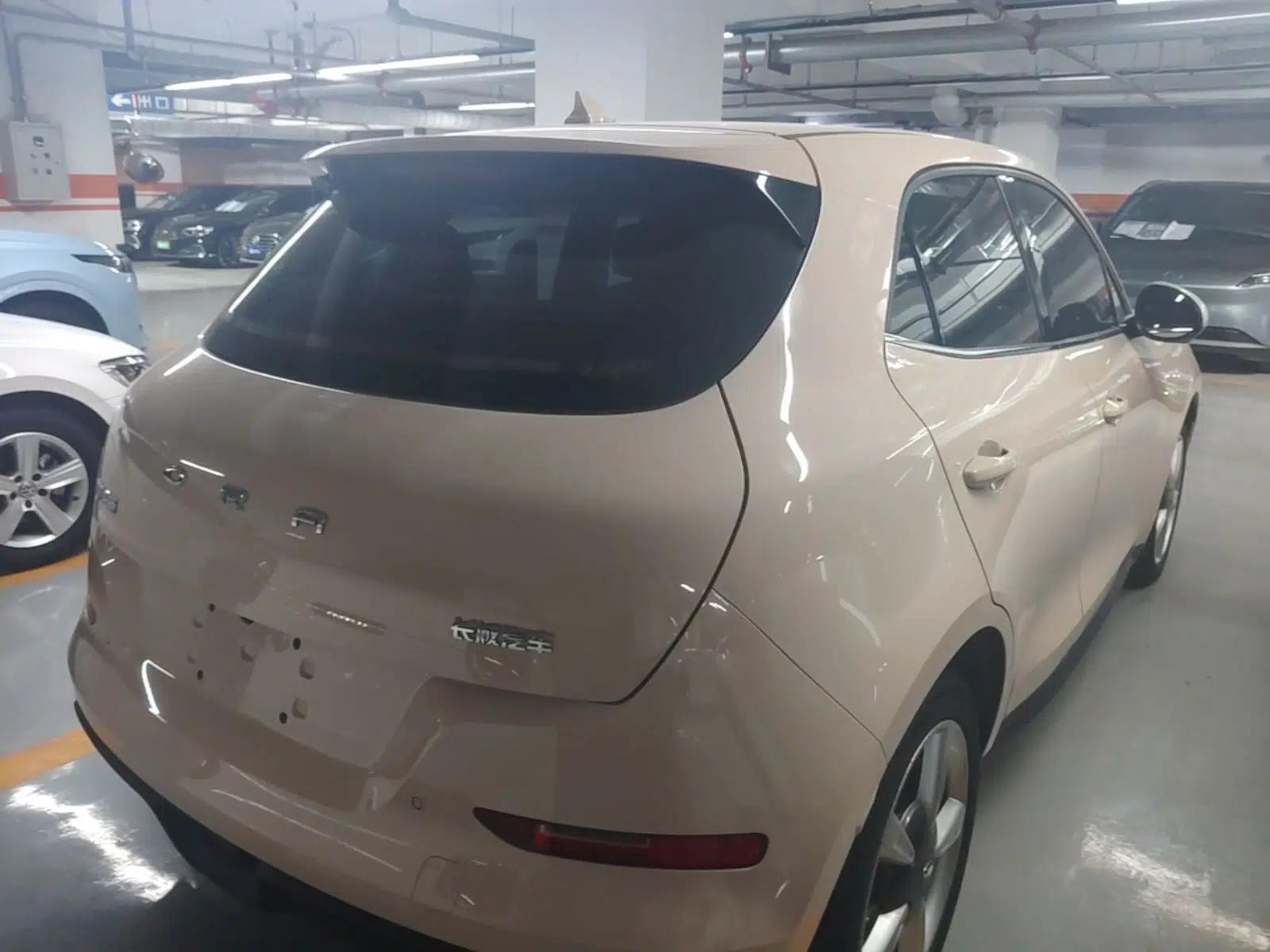 ORA Good Cat 2022 Morandi Edition 400km Standard Range Luxury Version Lithium-Ion Battery — миниатюра 6