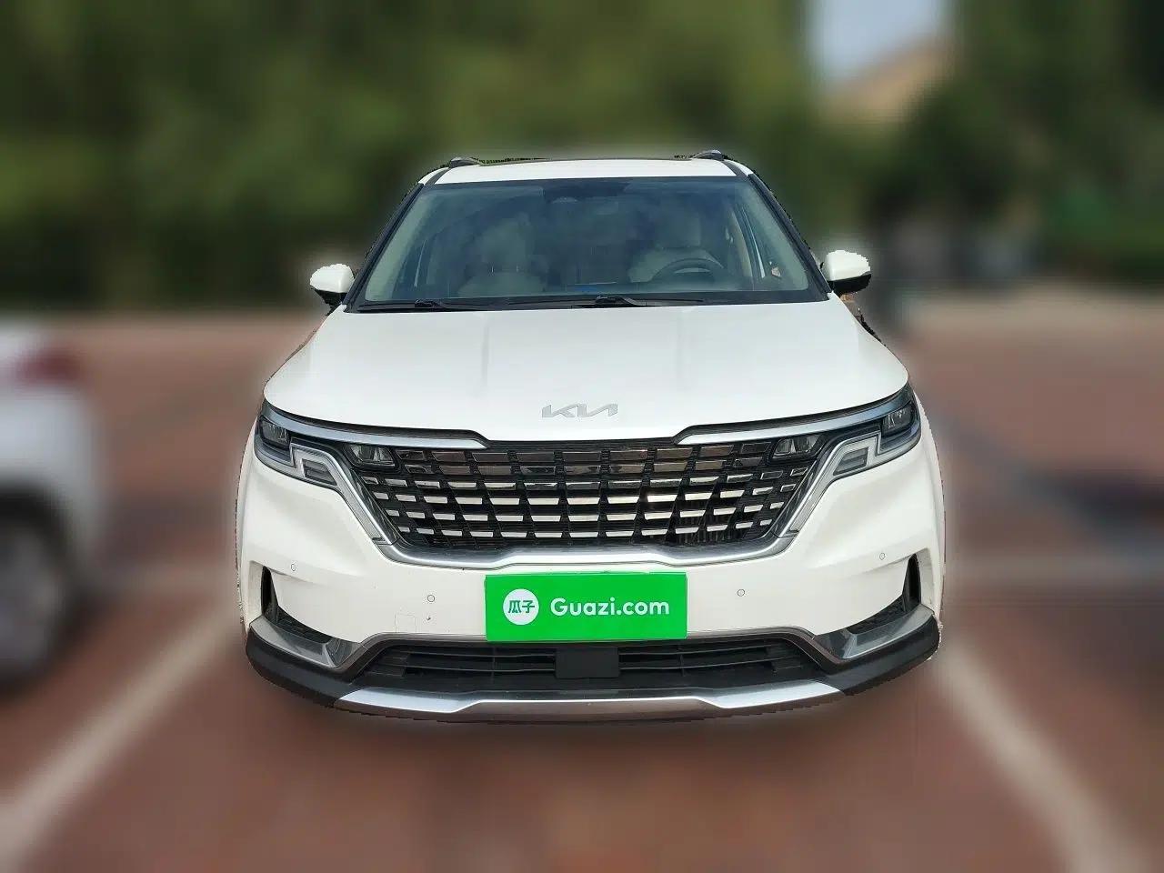 Kia Carnival 2021 2.0T Luxury Edition — миниатюра 2
