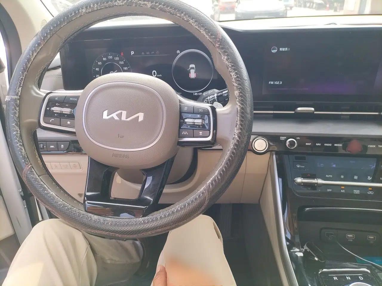 Kia Carnival 2021 2.0T Luxury Edition — миниатюра 9