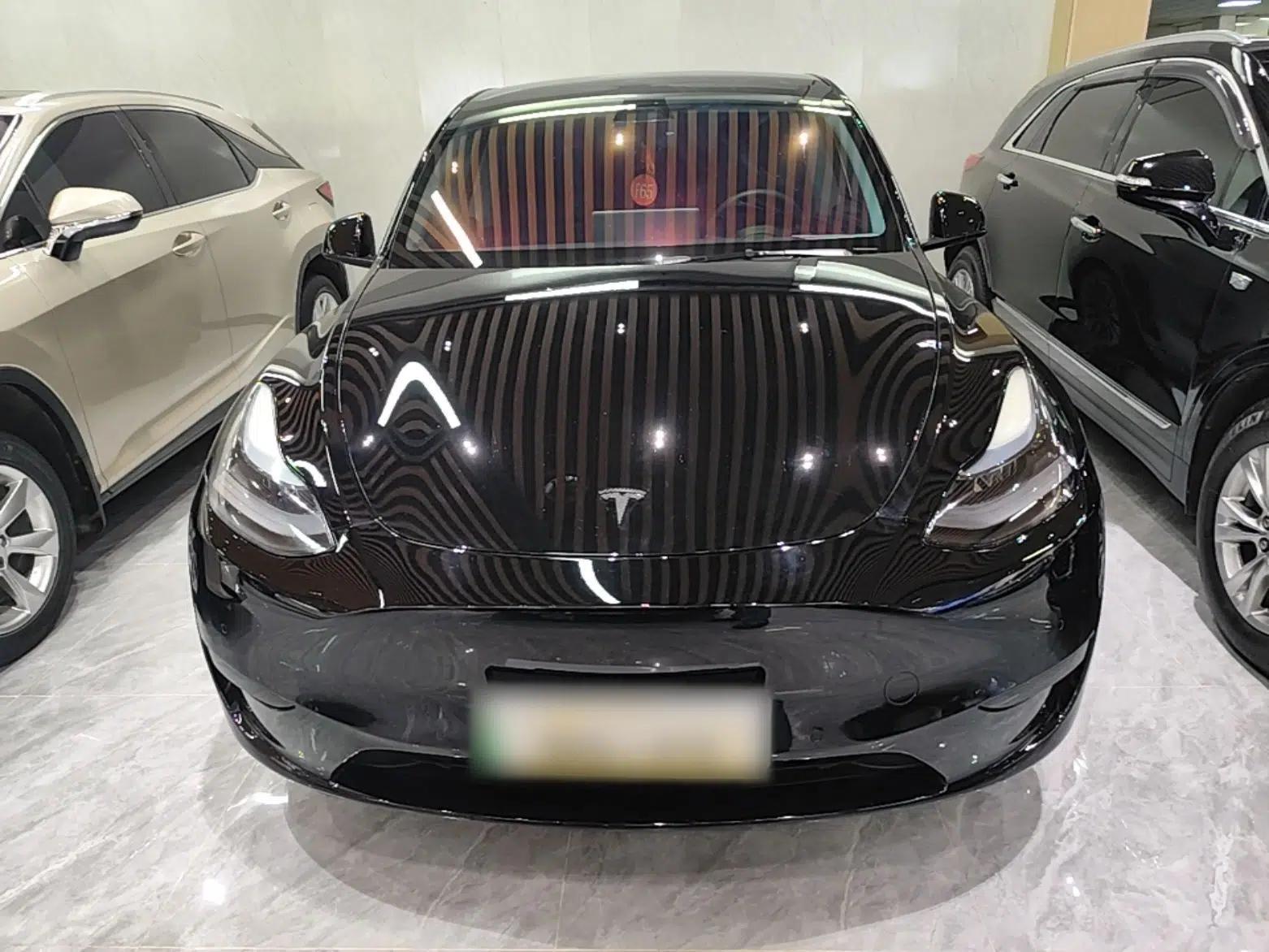 Tesla Model Y 2022 Rear-Wheel-Drive Version — миниатюра 2