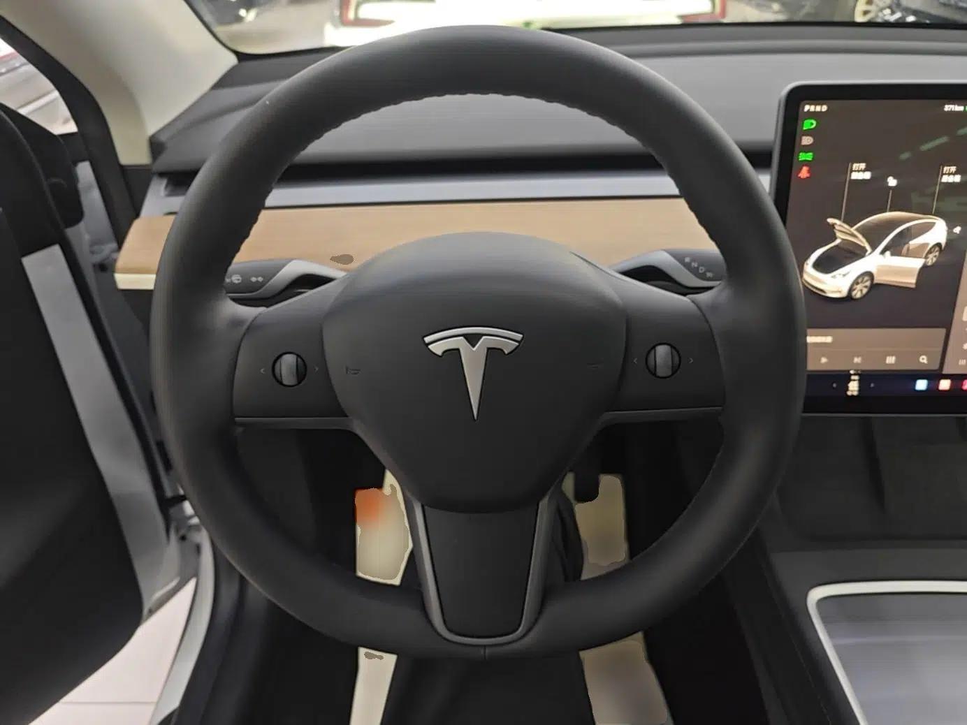 Tesla Model Y 2021 Standard Range Rear-Wheel Drive Version — миниатюра 13