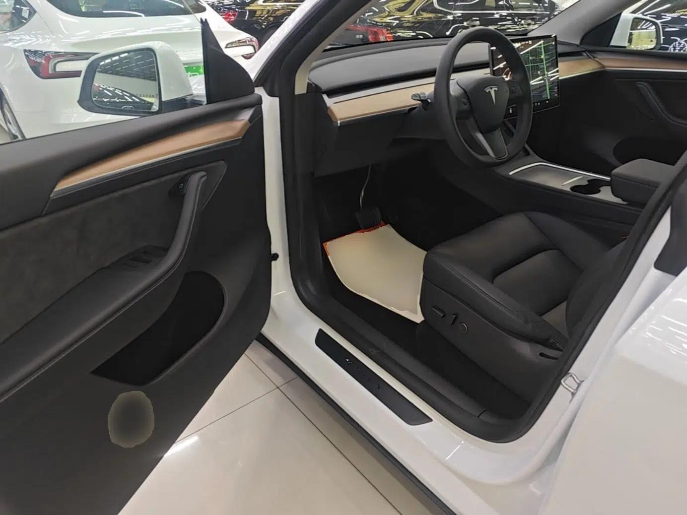 Tesla Model Y 2021 Standard Range Rear-Wheel Drive Version — миниатюра 18