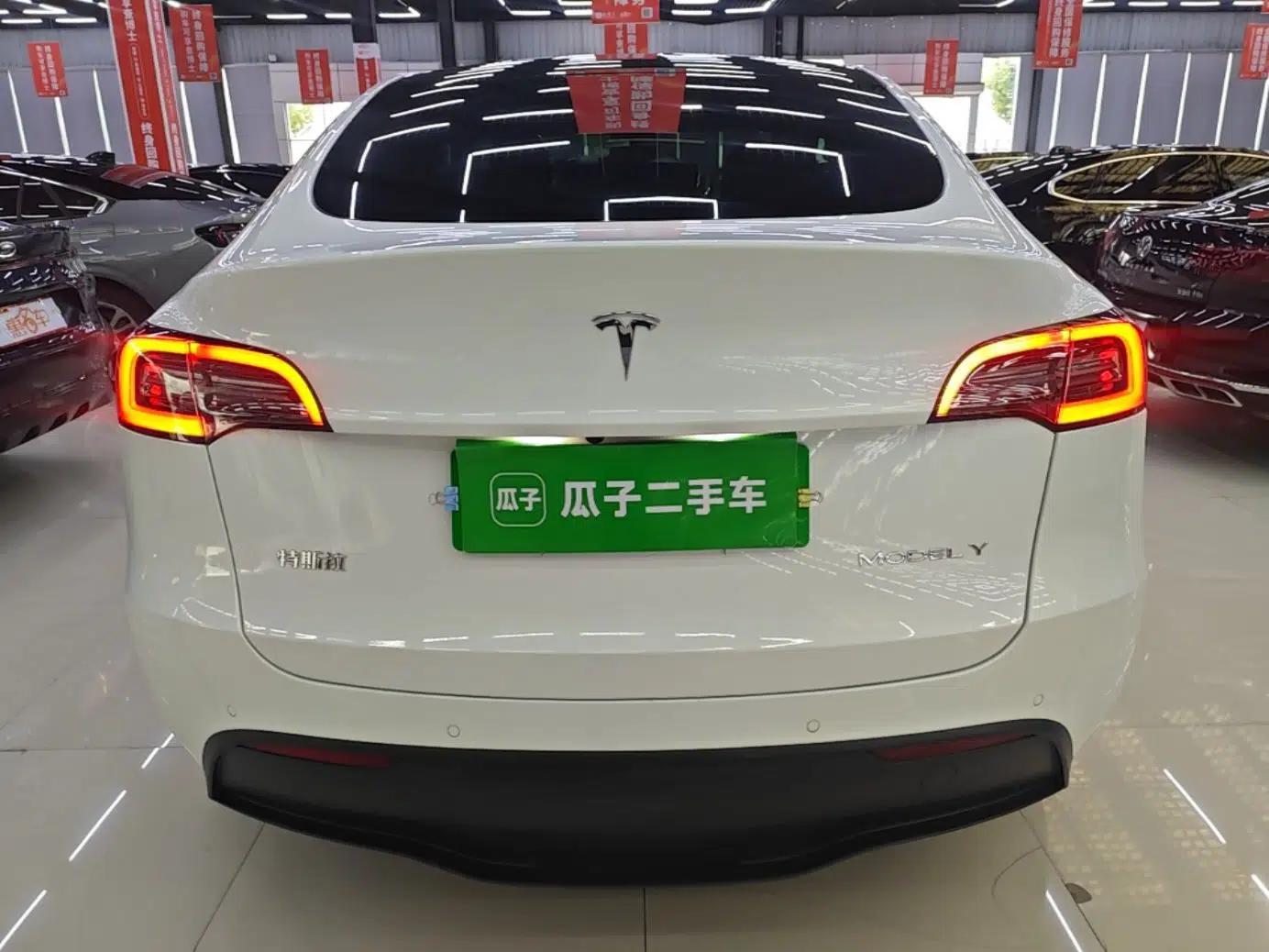 Tesla Model Y 2021 Standard Range Rear-Wheel Drive Version — миниатюра 5