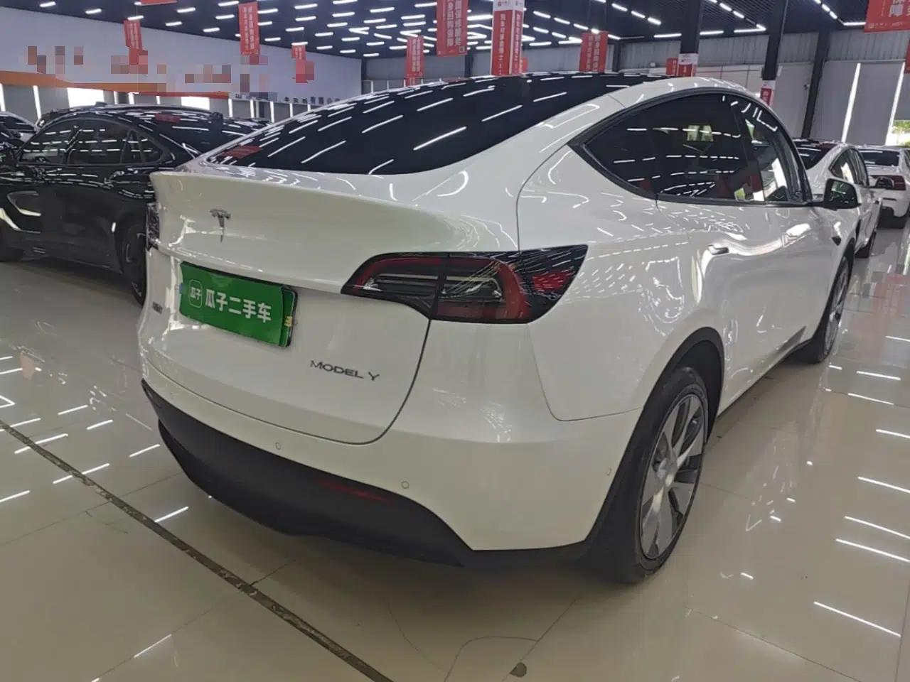 Tesla Model Y 2021 Standard Range Rear-Wheel Drive Version — миниатюра 6