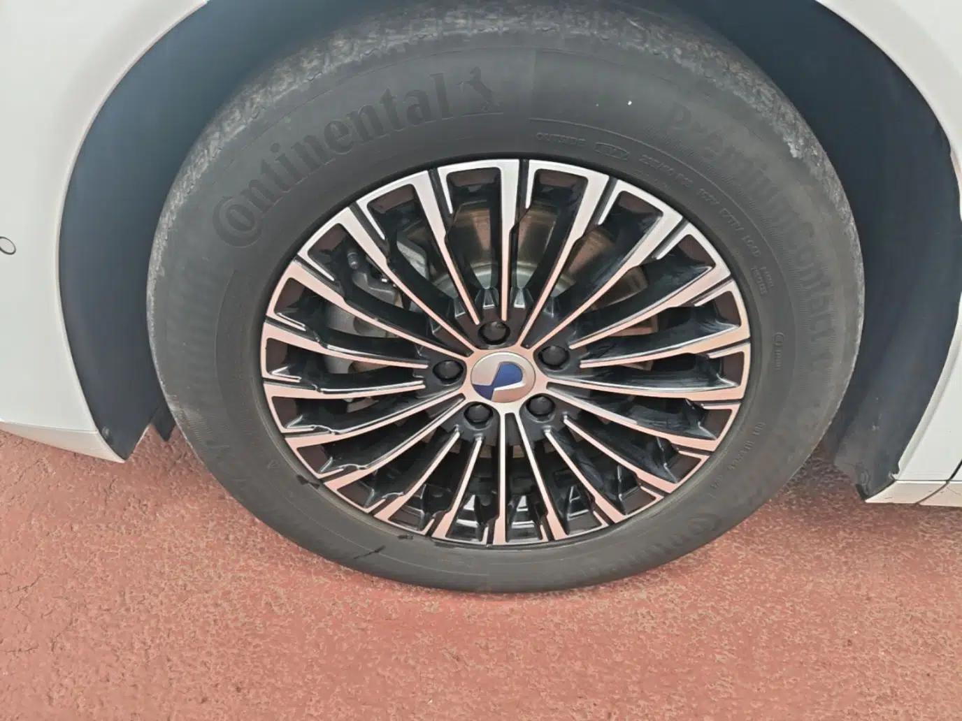 Denza D9 2022 DM-i 970 Four-Wheel Drive Flagship Model — миниатюра 15