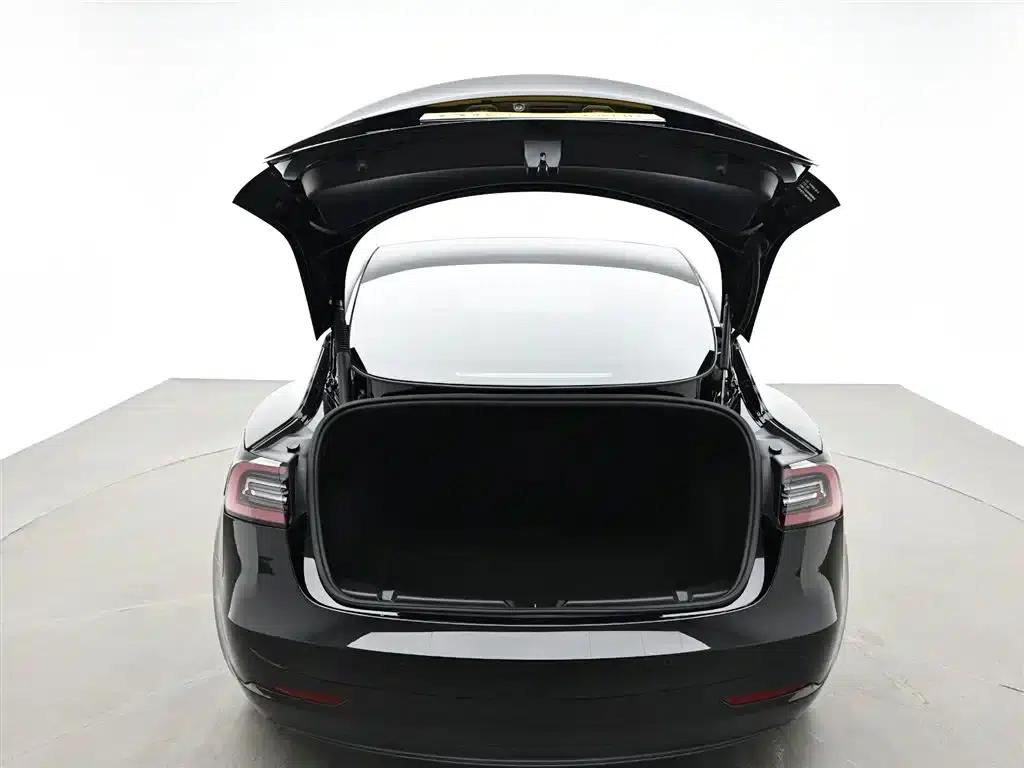 Model 3 2021 Standard Range Rear-Wheel Drive Upgrade — миниатюра 10