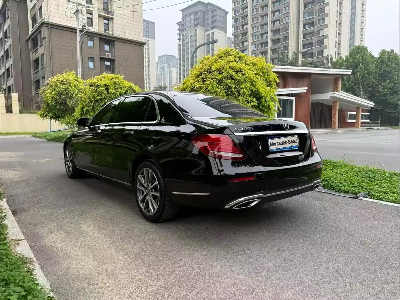 Mercedes-Benz E-Class 2019 Facelift E 300 L Fashion Model — миниатюра 7