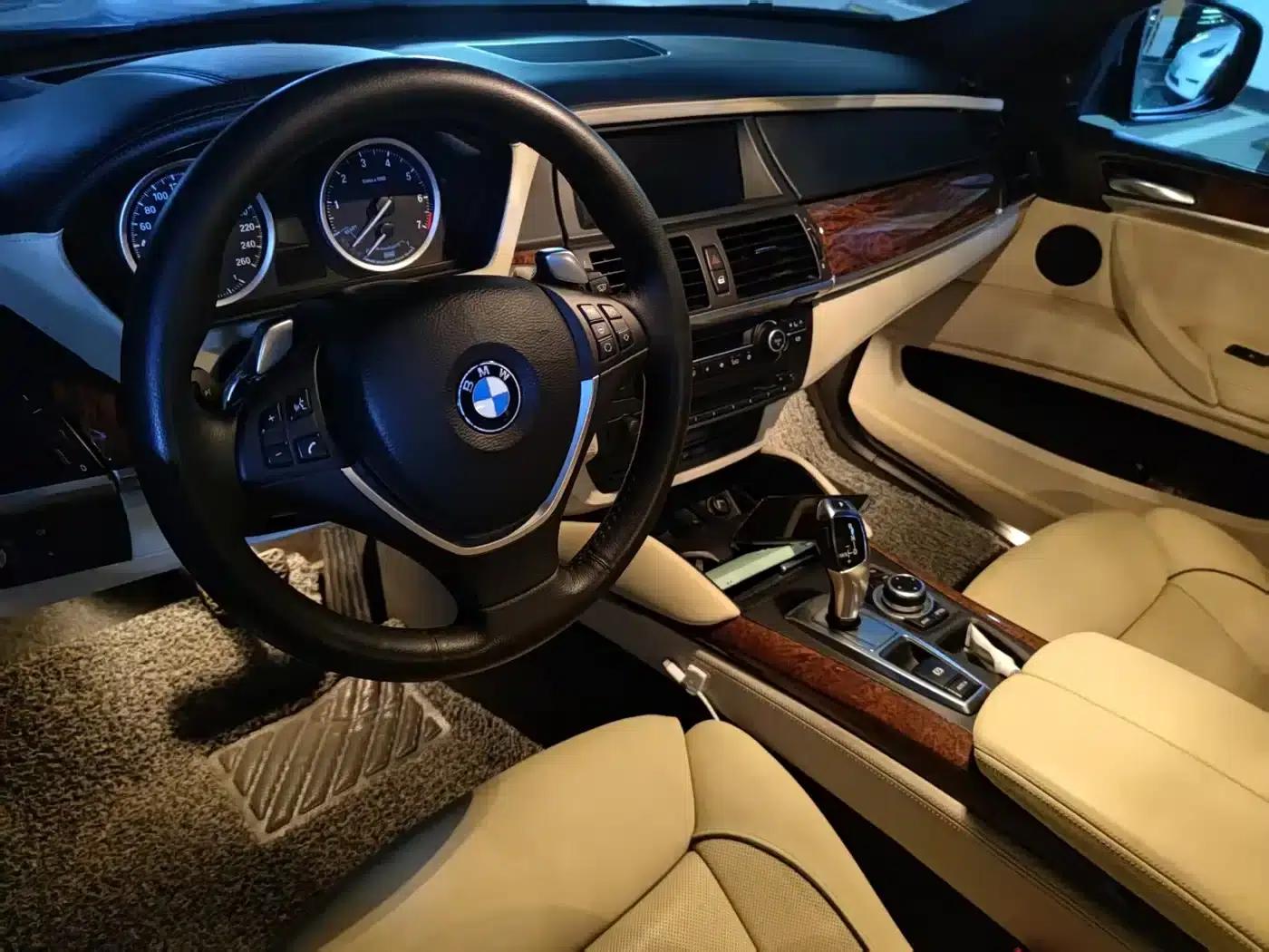 BMW X6 2010 4.4T Hybrid — миниатюра 3