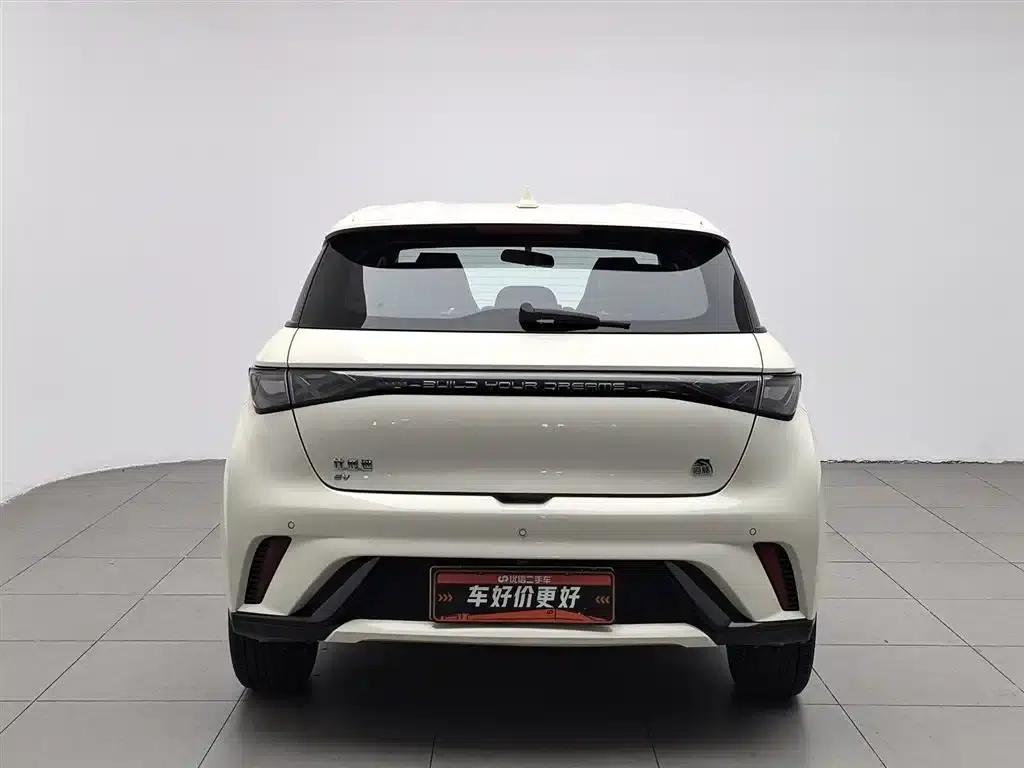 Dolphin 2023 420km Freedom Edition — миниатюра 4