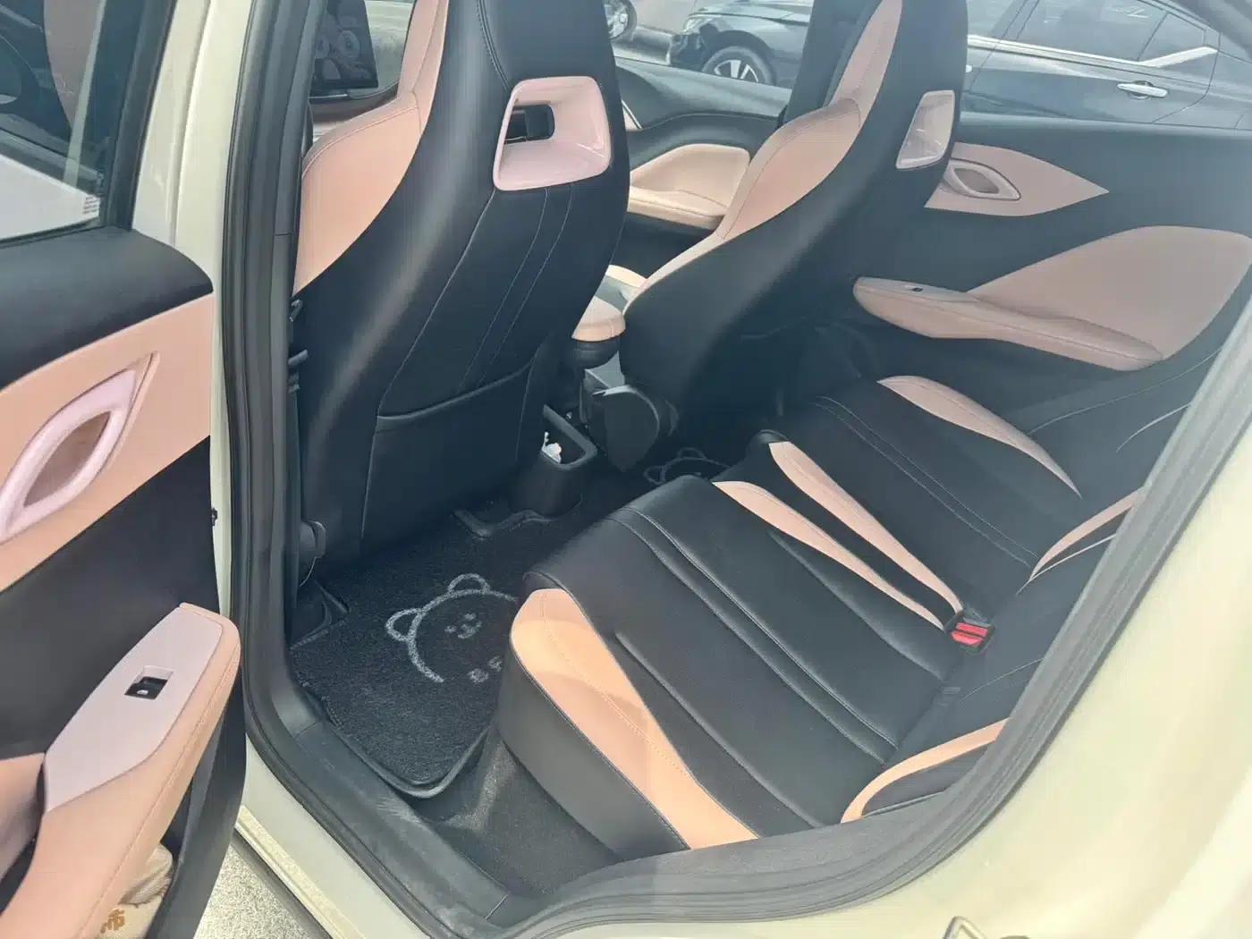 Seagull 2024 Glory Edition 305km Freedom Edition — миниатюра 4