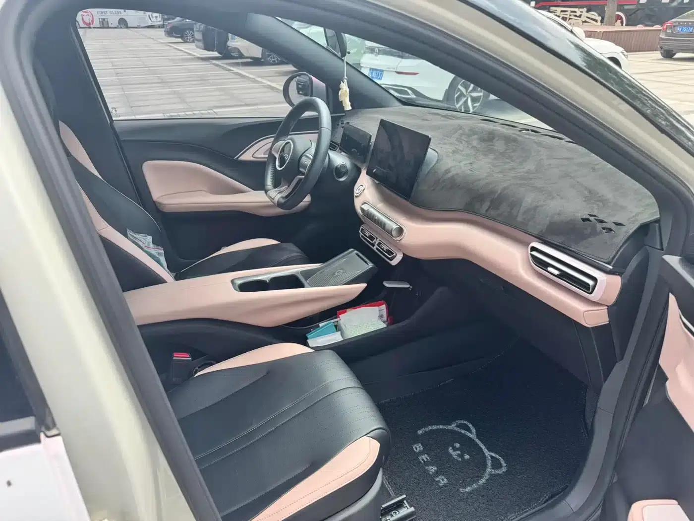 Seagull 2024 Glory Edition 305km Freedom Edition — миниатюра 5
