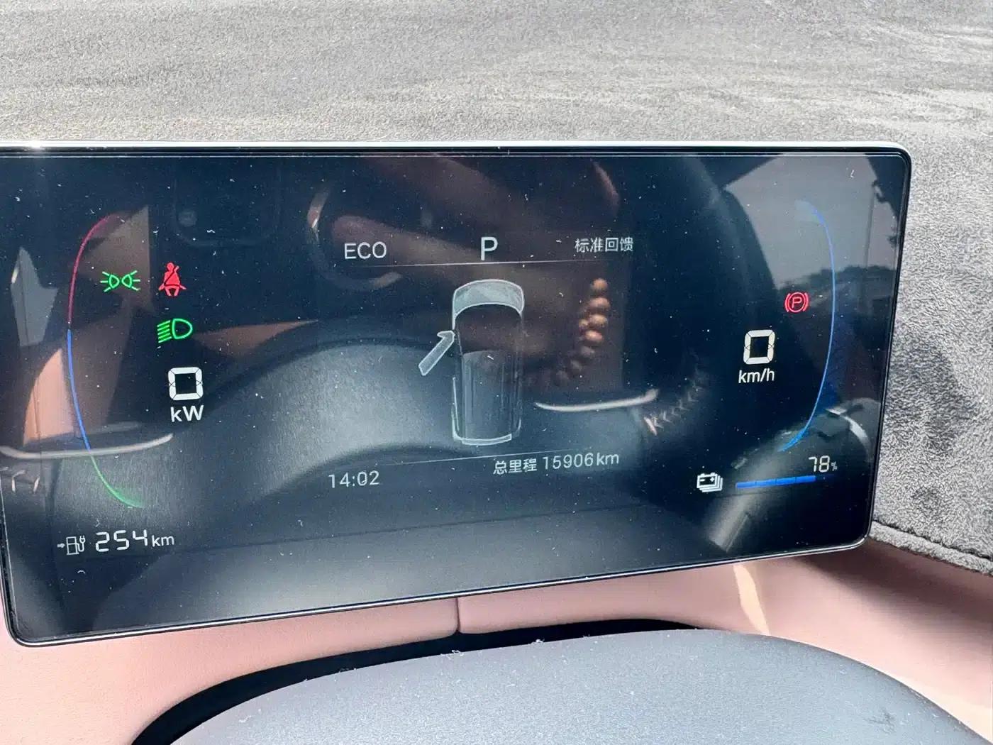 Seagull 2024 Glory Edition 305km Freedom Edition — миниатюра 6
