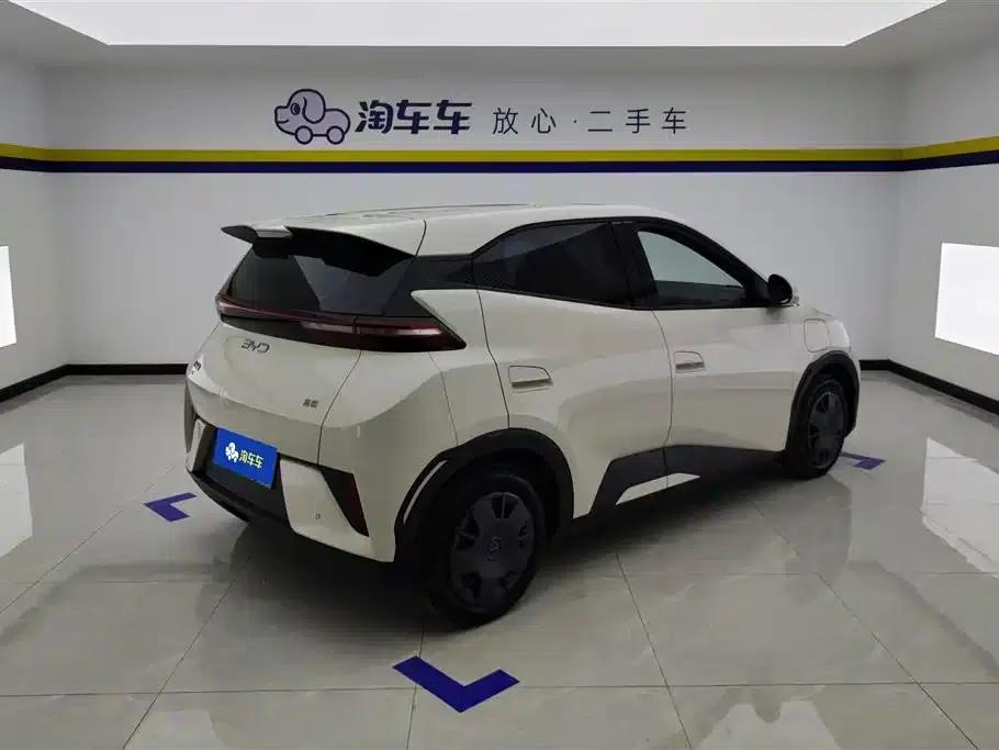 Seagull 2025 Smart Driving Edition 305km Vitality Edition — миниатюра 3