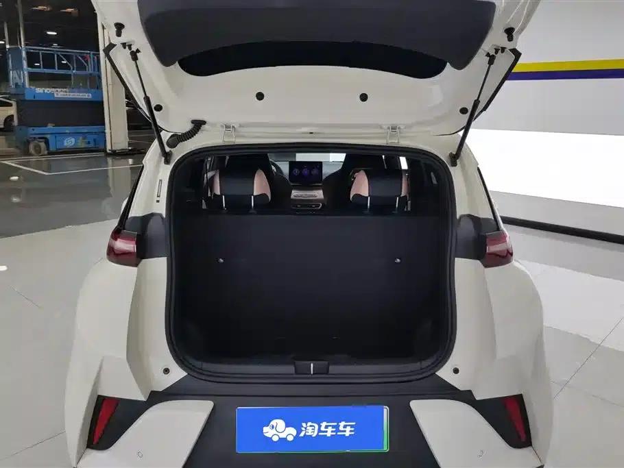 Seagull 2025 Smart Driving Edition 305km Vitality Edition — миниатюра 4