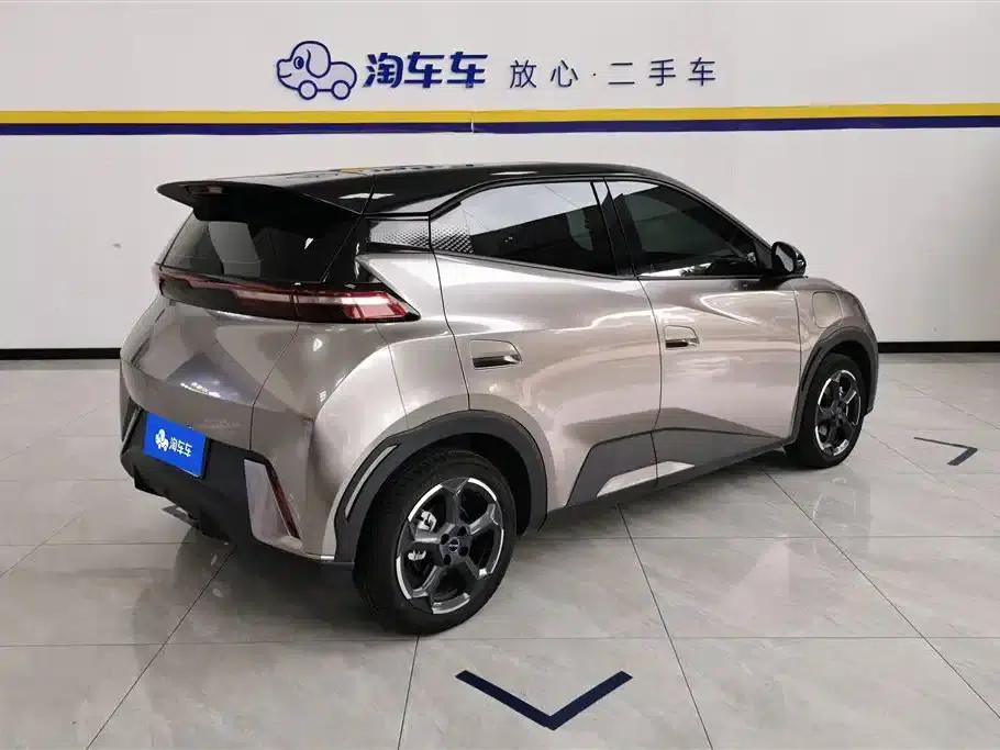 Seagull 2023 Freedom Edition — миниатюра 3