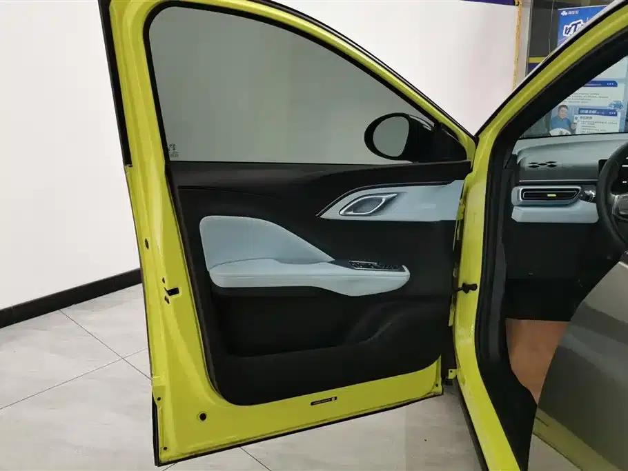 Seagull 2023 Freedom Edition — миниатюра 7