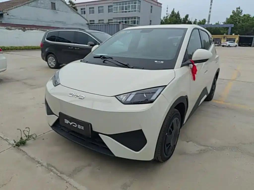 Seagull 2025 Smart Driving Edition 305km Vitality Edition — миниатюра 1