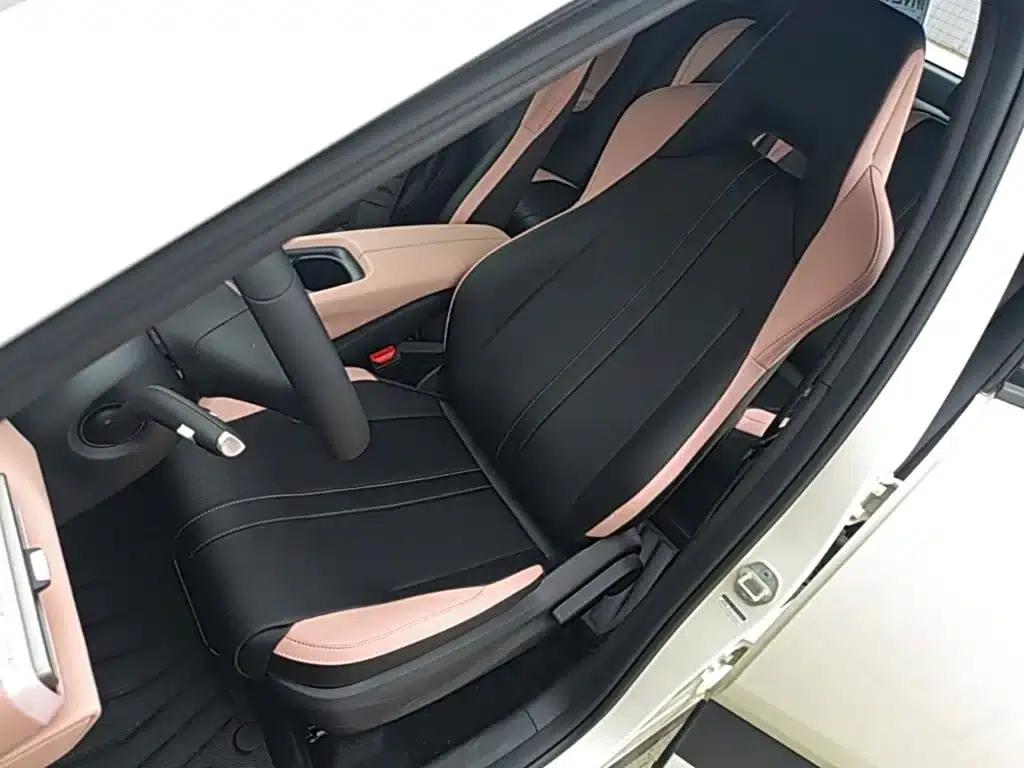 Seagull 2025 Smart Driving Edition 305km Vitality Edition — миниатюра 15