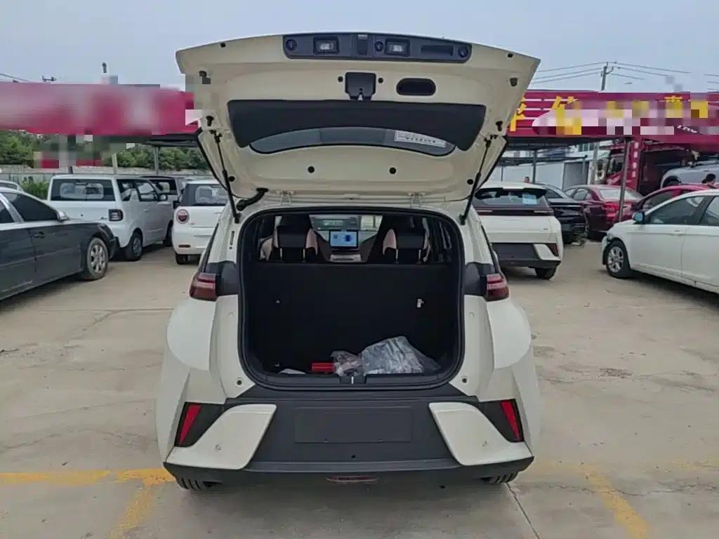 Seagull 2025 Smart Driving Edition 305km Vitality Edition — миниатюра 19