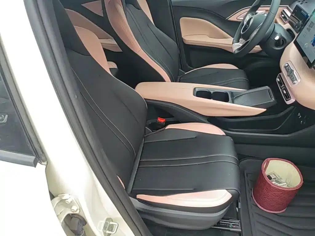 Seagull 2025 Smart Driving Edition 305km Vitality Edition — миниатюра 25
